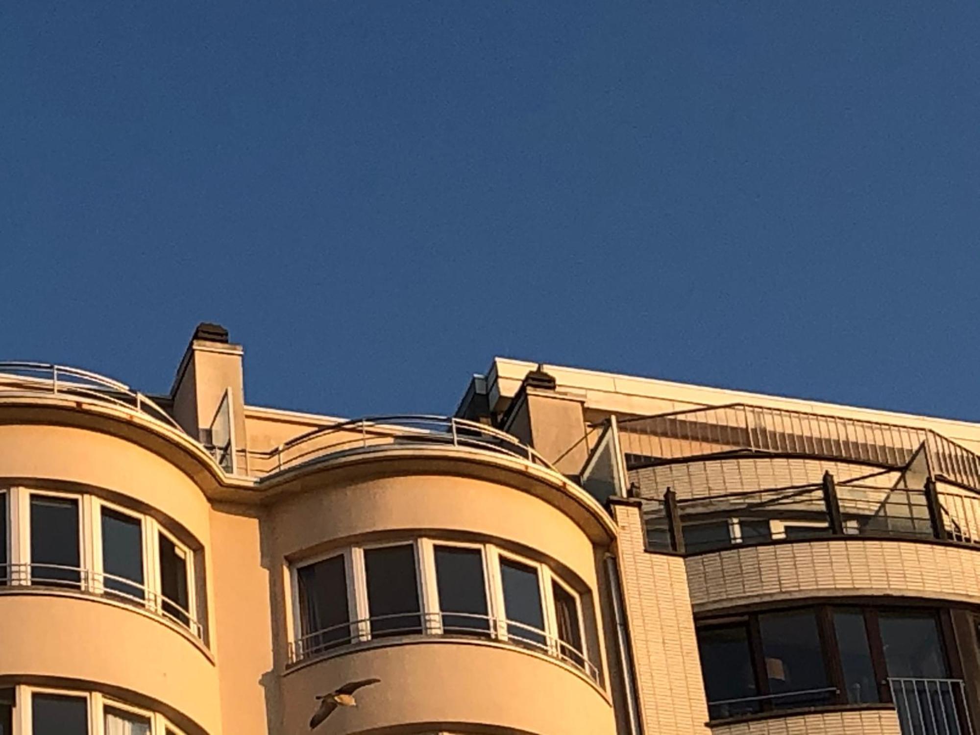 Appartamento El Mirador Penthouse Paris Ostenda Esterno foto